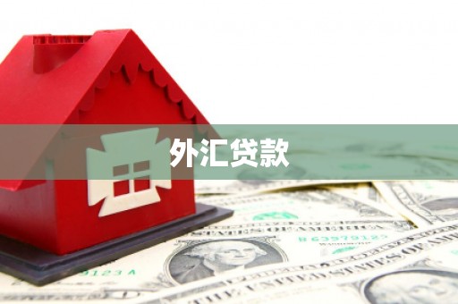 瑞金外汇贷款