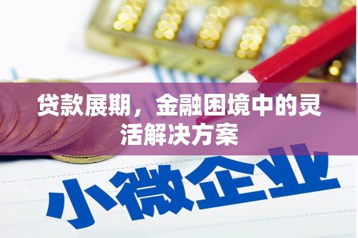 瑞金贷款展期，金融困境中的灵活解决方案