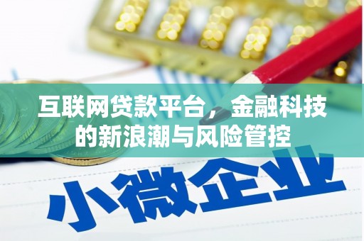 瑞金互联网贷款平台，金融科技的新浪潮与风险管控