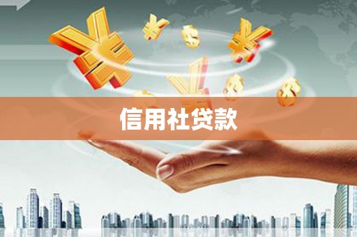 瑞金信用社贷款