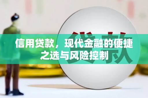 瑞金信用贷款，现代金融的便捷之选与风险控制