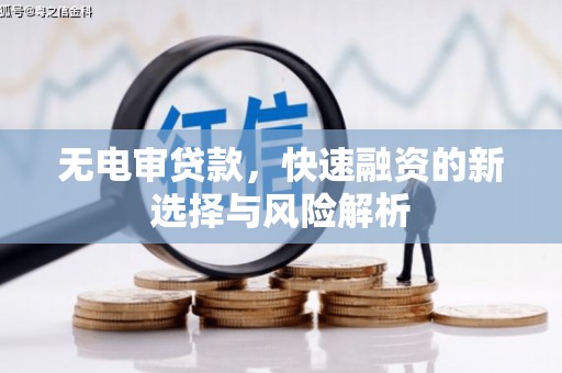 瑞金无电审贷款，快速融资的新选择与风险解析