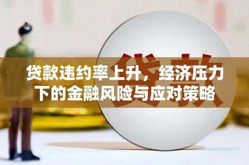 瑞金贷款违约率上升，经济压力下的金融风险与应对策略