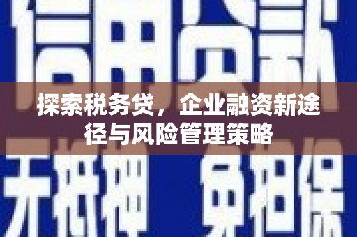 瑞金探索税务贷，企业融资新途径与风险管理策略