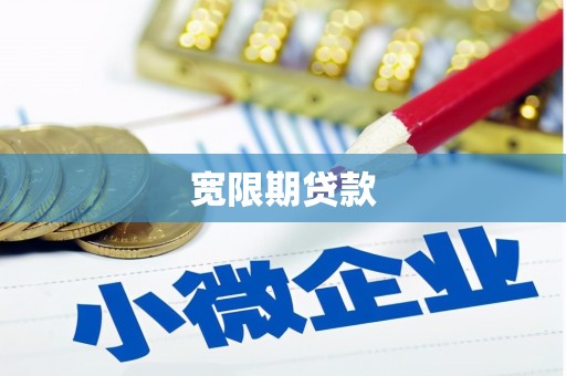 瑞金宽限期贷款