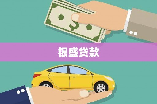 瑞金银盛贷款