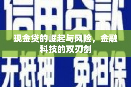 瑞金现金贷的崛起与风险，金融科技的双刃剑