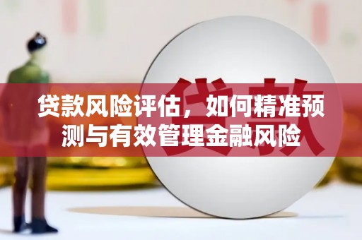瑞金贷款风险评估，如何精准预测与有效管理金融风险