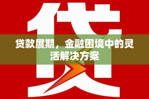 瑞金贷款展期，金融困境中的灵活解决方案