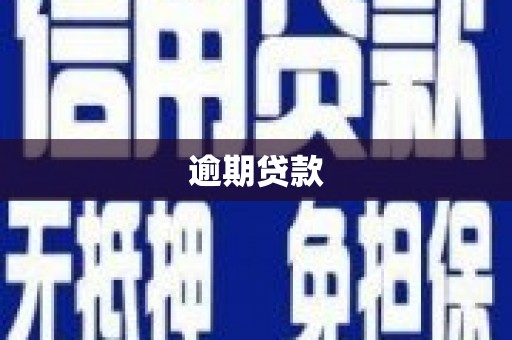 瑞金逾期贷款