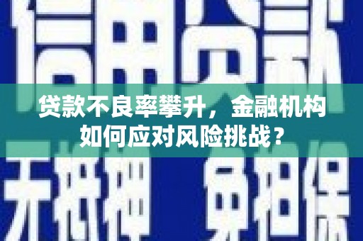 瑞金贷款不良率攀升，金融机构如何应对风险挑战？