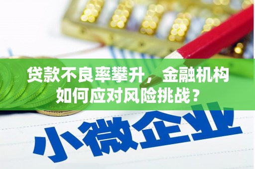 瑞金贷款不良率攀升，金融机构如何应对风险挑战？