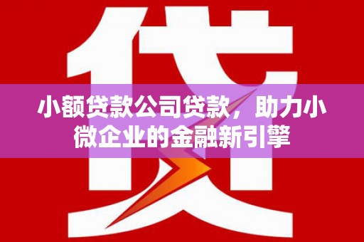 瑞金小额贷款公司贷款，助力小微企业的金融新引擎