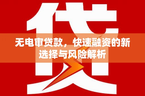 瑞金无电审贷款，快速融资的新选择与风险解析