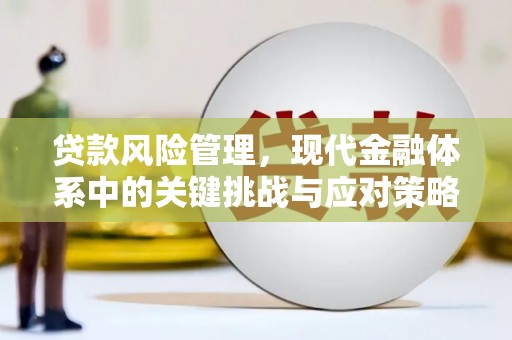 瑞金贷款风险管理，现代金融体系中的关键挑战与应对策略