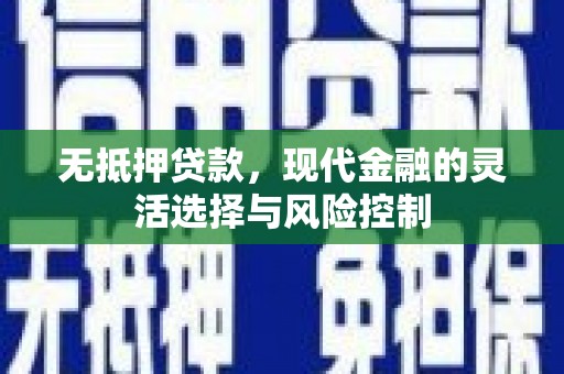 瑞金无抵押贷款，现代金融的灵活选择与风险控制