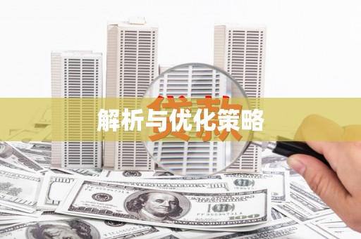 瑞金解析与优化策略