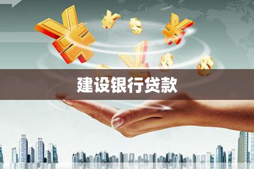 瑞金建设银行贷款