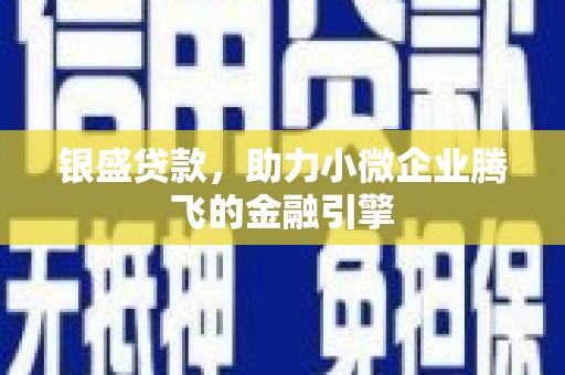 瑞金银盛贷款，助力小微企业腾飞的金融引擎