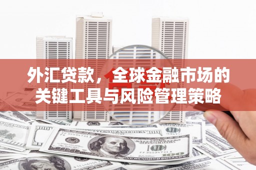 瑞金外汇贷款，全球金融市场的关键工具与风险管理策略