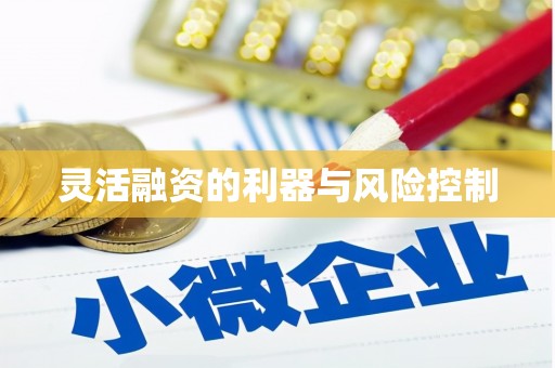 瑞金灵活融资的利器与风险控制