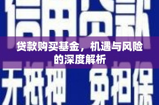 瑞金贷款购买基金，机遇与风险的深度解析