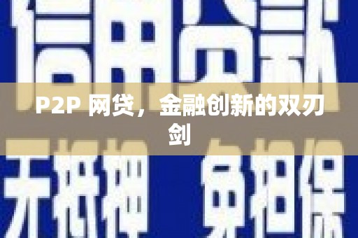 瑞金P2P 网贷，金融创新的双刃剑