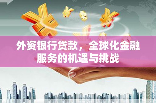 瑞金外资银行贷款，全球化金融服务的机遇与挑战