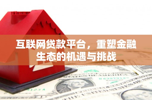 瑞金互联网贷款平台，重塑金融生态的机遇与挑战