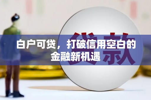 瑞金白户可贷，打破信用空白的金融新机遇
