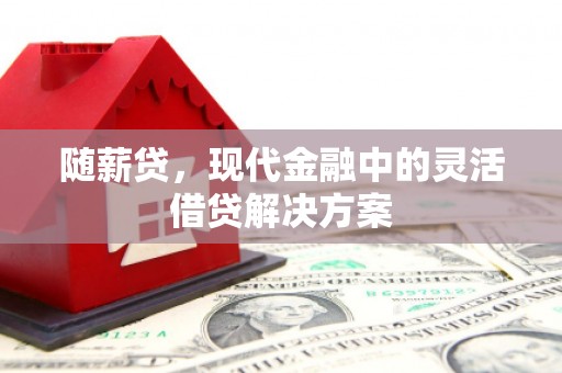 瑞金随薪贷，现代金融中的灵活借贷解决方案