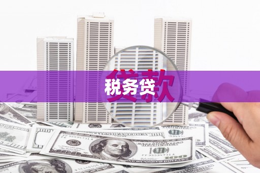 瑞金税务贷