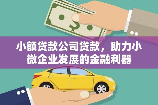 瑞金小额贷款公司贷款，助力小微企业发展的金融利器