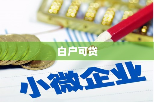 瑞金白户可贷