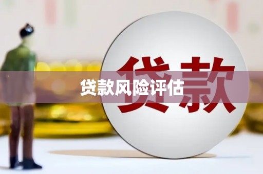 瑞金贷款风险评估