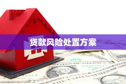瑞金贷款风险处置方案