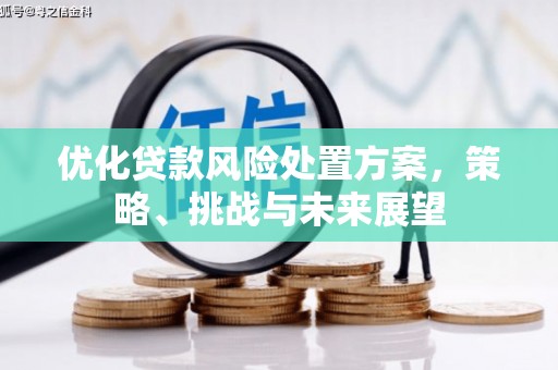 瑞金优化贷款风险处置方案，策略、挑战与未来展望