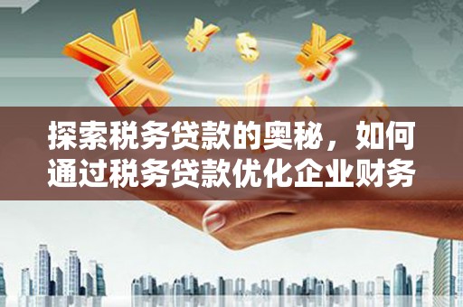 瑞金探索税务贷款的奥秘，如何通过税务贷款优化企业财务