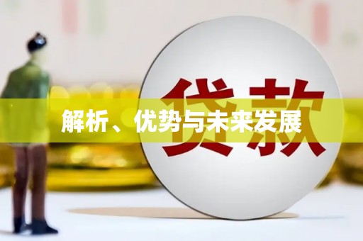 瑞金解析、优势与未来发展