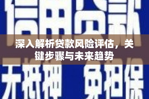 瑞金深入解析贷款风险评估，关键步骤与未来趋势