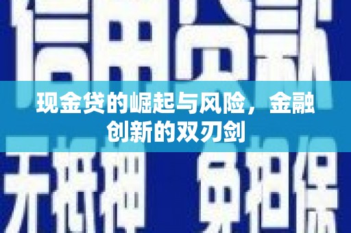 瑞金现金贷的崛起与风险，金融创新的双刃剑