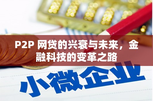 瑞金P2P 网贷的兴衰与未来，金融科技的变革之路