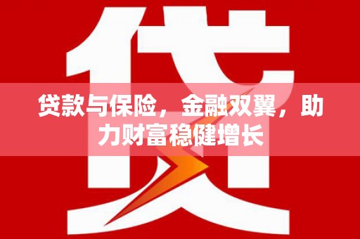 瑞金贷款与保险，金融双翼，助力财富稳健增长