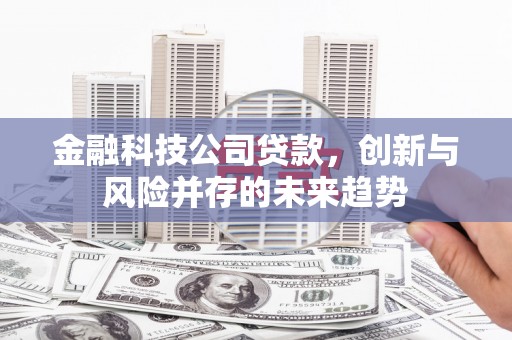 瑞金金融科技公司贷款，创新与风险并存的未来趋势