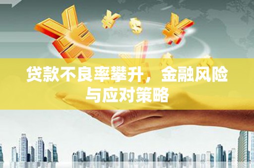 瑞金贷款不良率攀升，金融风险与应对策略
