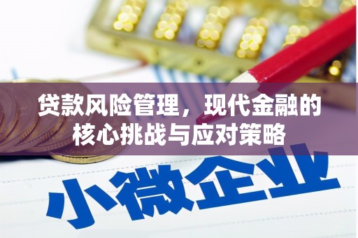 瑞金贷款风险管理，现代金融的核心挑战与应对策略