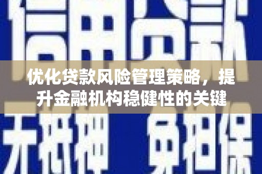 瑞金优化贷款风险管理策略，提升金融机构稳健性的关键