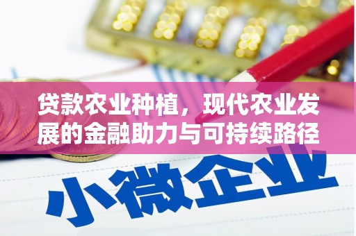 瑞金贷款农业种植，现代农业发展的金融助力与可持续路径