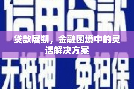 瑞金贷款展期，金融困境中的灵活解决方案