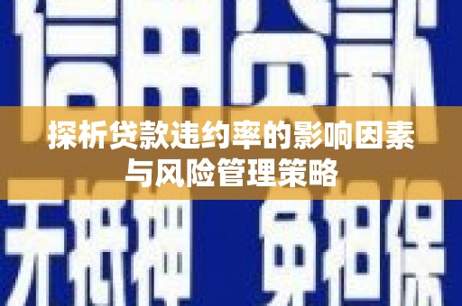 瑞金探析贷款违约率的影响因素与风险管理策略